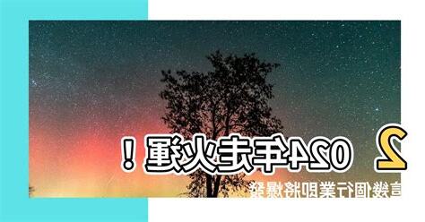走火運 行業